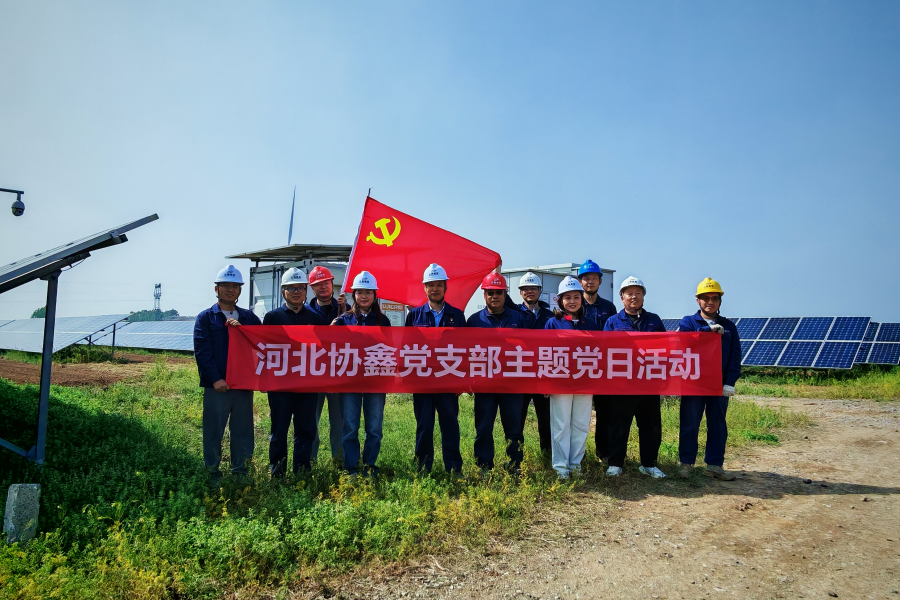 图片11_副本.png